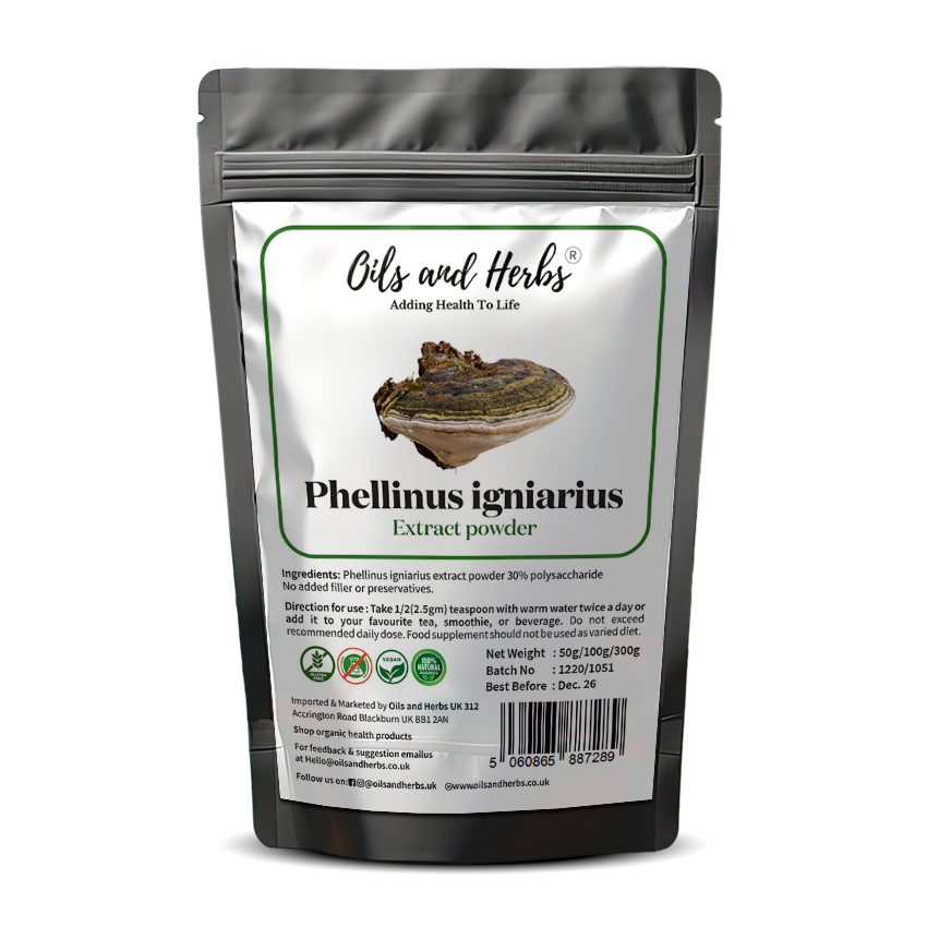 High Strength Phellinus igniarius Extract powder